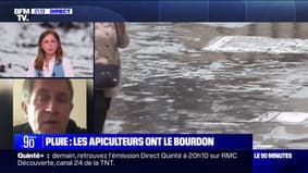 Météo pluvieuse: "C'est catastrophique, les colonies ont du mal à survivre", déplore Luc, apiculteur en Ille-et-Vilaine