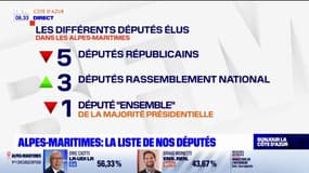 Législatives: succès du RN dans les Alpes-Maritimes qui remporte trois circonscriptions