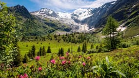 Vue imprenable sur les Alpes françaises sur le parcours du Tour du Mont-Blanc, dans la région de Chamonix