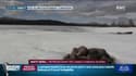 Chez les Samis, le réchauffement climatique défigure le paysage