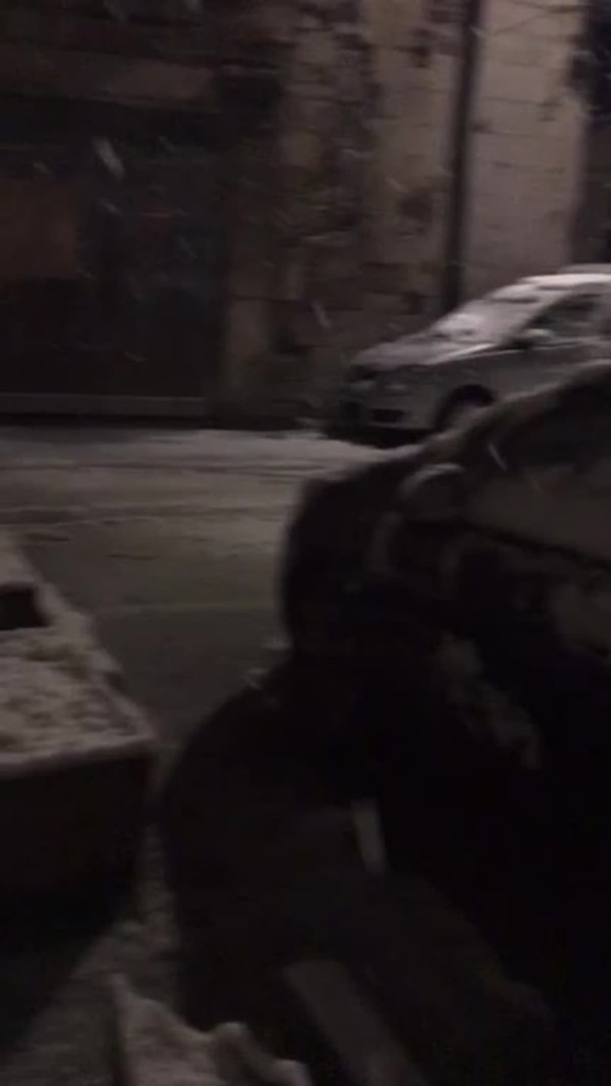 placeholder video