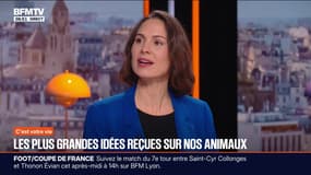 Les plus grandes idées reçues sur nos animaux de compagnie 