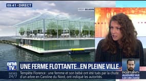 Une ferme flottante en pleine ville