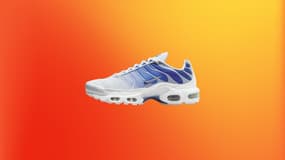 Découvrez les dernières tailles disponibles pour cette Nike Air Max Plus en promotion