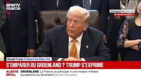Donald Trump affirme à nouveau que les États-Unis ont "besoin du Groenland"