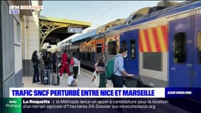 Nice: le trafic SNCF perturbé ce week-end