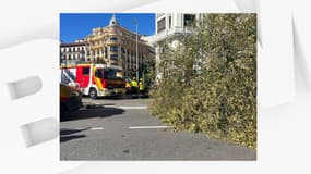 Un arbre couché sur la rue en lien avec la tempête Ciaran, à Madrid, en Espagne, le 2 novembre 2023