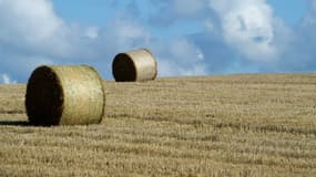 Les agriculteurs appelés à produire plus de biomasse