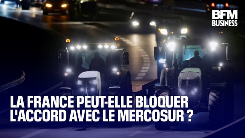 La France peut-elle bloquer l'accord avec le Mercosur ?