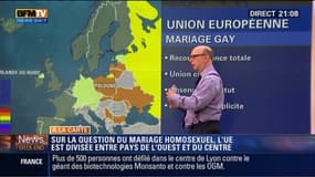 Harold à la carte: L'Union européenne est-elle divisée entre pays de l'Ouest et du Centre sur l'adoption du mariage homosexuel ?
