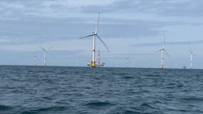 Le parc éolien en mer au large de Fécamp (Seine-Maritime), qui devrait être mis en service avant la fin du mois de mai 2024.