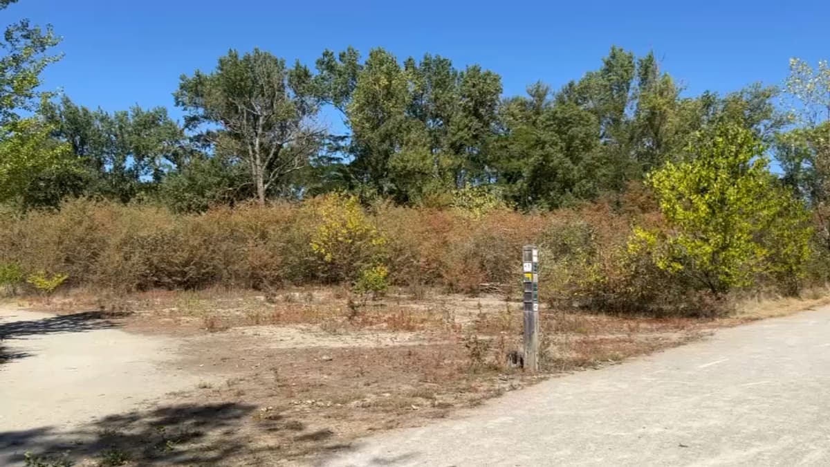 placeholder video