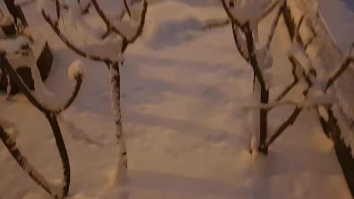 placeholder video