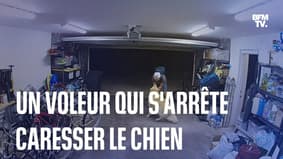 États-Unis: ce cambrioleur se fait interrompre par le chien (très câlin) des propriétaires