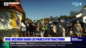 Île-de-France: des records de fréquentation dans des parcs d'attraction