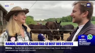 Les Ch'tites Sorties du samedi 1 juin 2024 - Rando, Girafes, Chase-tag, le best des 'Chtites