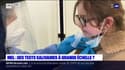 Lille: la Haute autorité de santé valide déploiement des tests salivaires à grande échelle