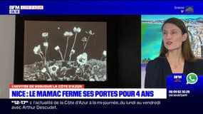 Nice: le Mamac va être rénové "en profondeur" et ferme pour quatre ans