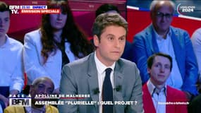 Gabriel Attal: "Je me bats pour que nos candidats soient les plus nombreux dans l'hémicycle"
