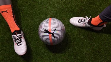 Puma, basée à Illkirch-Graffenstaden près de Strasbourg, investira "plusieurs millions d'euros" pour ce nouveau siège.