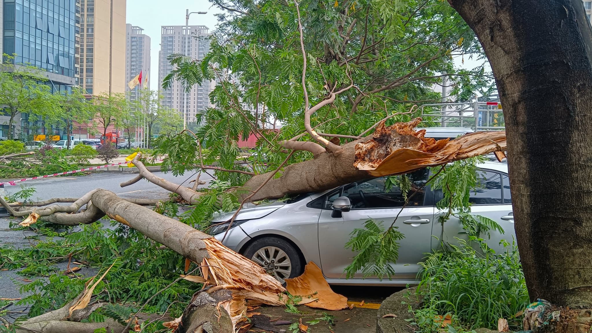 Des arbres se sont effondrés sur une voiture à Qingyuan en Chine le 22 avril 2024.