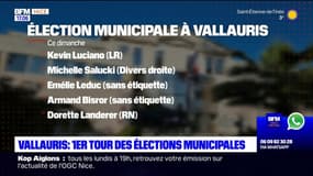 Vallauris: le premier tour des élections municipales se tient ce dimanche