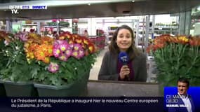 Chrysanthème, cyclamen, choux... Quelles fleurs acheter pour la Toussaint ?