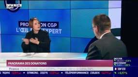 L'œil de l'expert: Panorama des donations - 11/01