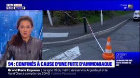 Val-de-Marne: à Maisons-Alfort, les riverains demandent des explications après la fuite d'ammoniac