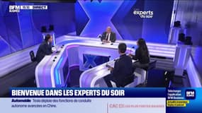 Une défense européenne peut-elle émerger ? - 25/02