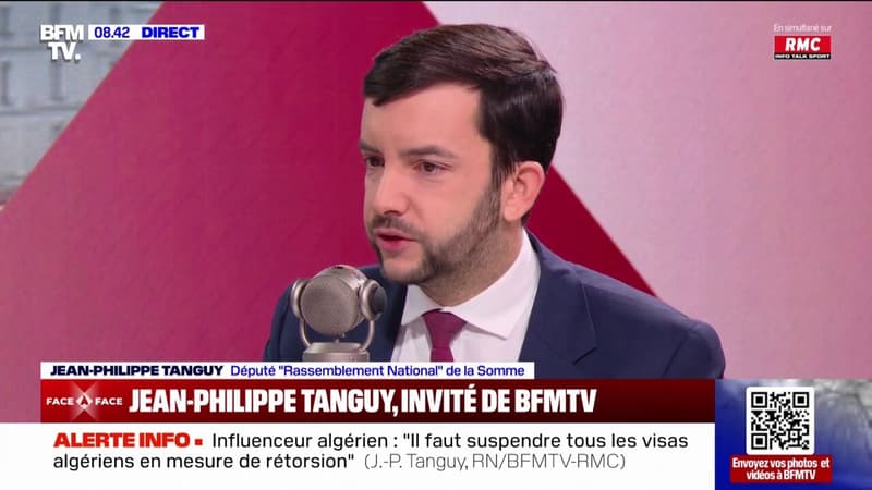 Jean-Philippe Tanguy (RN): 