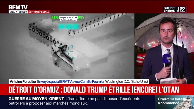 Sécurisation du détroit d'Ormuz: Donald Trump qualifie de "lâches" les pays de l'Otan