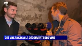 Des vacances à la découverte des vins - 03/11