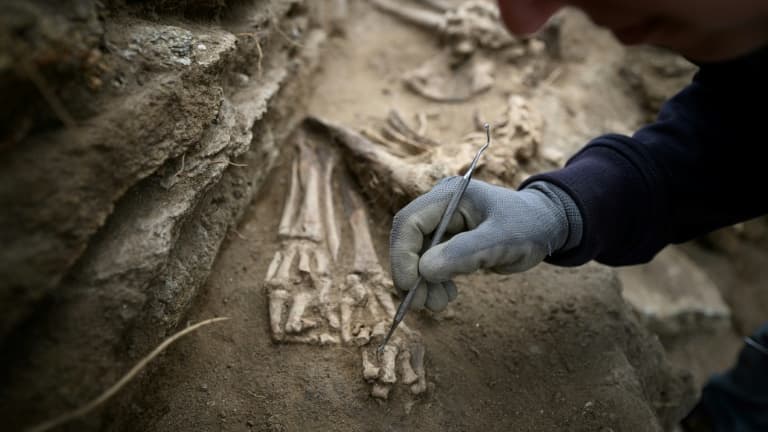 "70 À 75 SQUELETTES IDENTIFIÉS": UNE SÉPULTURE EXCEPTIONNELLE DÉCOUVERTE PAR DES ARCHÉOLOGUES DANS L'AUBE