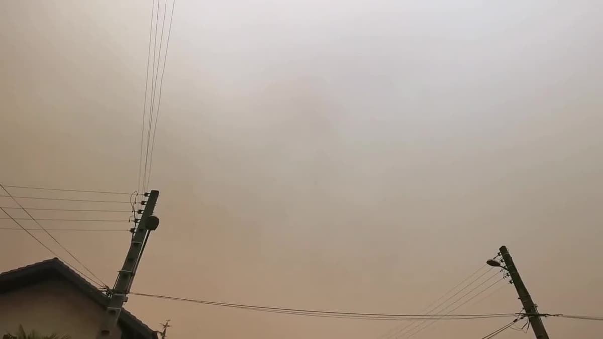 placeholder video