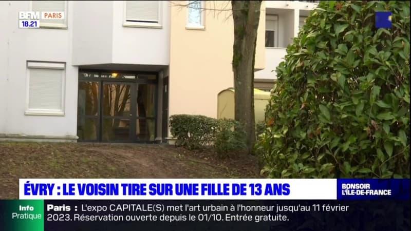 Essonne: une adolescente blessée par balle par son voisin, l'homme interpellé par le Raid