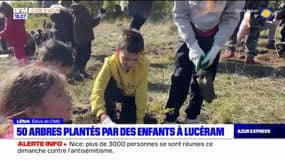 Alpes-Maritimes: 50 arbres plantés par des enfants à Lucéram