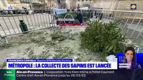Métropole Aix-Marseille: près de 400 points de collecte des sapins de Noël mis en place