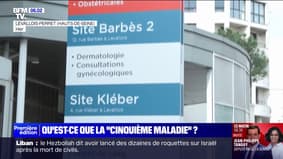 La France touchée par une recrudescence d'infections au parvovirus B19 qui ont tué 5 bébés en 2024