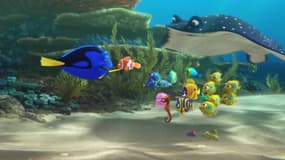 Le Monde de Dory 