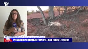 Story 1 : Pompier pyromane, un village sous le choc - 29/07