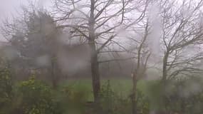 Vendée : forte pluie à Montaigu - Témoins BFMTV