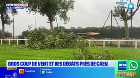 Calvados: un gros coup de vent et des dégâts près de Caen