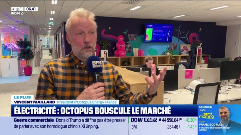 Electricité : Octopus bouscule le marché