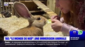 Ariane a testé le monde de Noé: une immersion animale inédite !