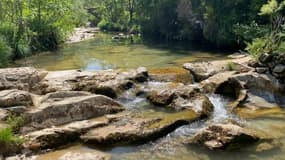 À Tourves, l'eau est à 18°C permettant de se rafraîchir face aux fortes chaleurs. Les baigneurs sont nombreux à venir profiter des lieux.