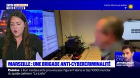 Marseille: une brigade lutte contre la cybercriminalité 
