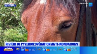 Rivière de l'Yzeron : opération anti-inondations