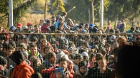 Des migrants et réfugiés attendent de passer la frontière entre la Slovénie et l'Autriche, le 3 novembre 2015 à Sentilj