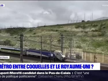 Natacha Bouchart, la maire (LR) de Calais, évoque l'idée de créer un métro entre Coquelles et le Royaume-Uni